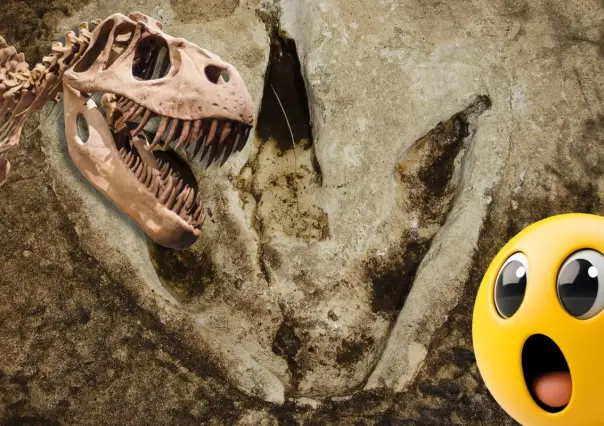 ¿Cuál fue el primer dinosaurio descubierto en Coahuila?