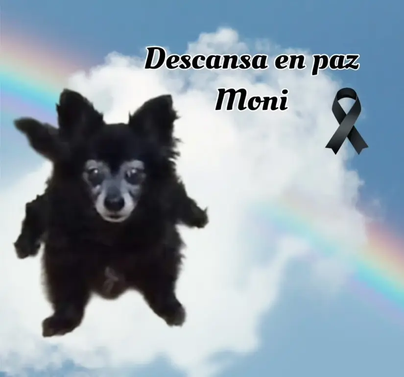 Foto: redes sociales