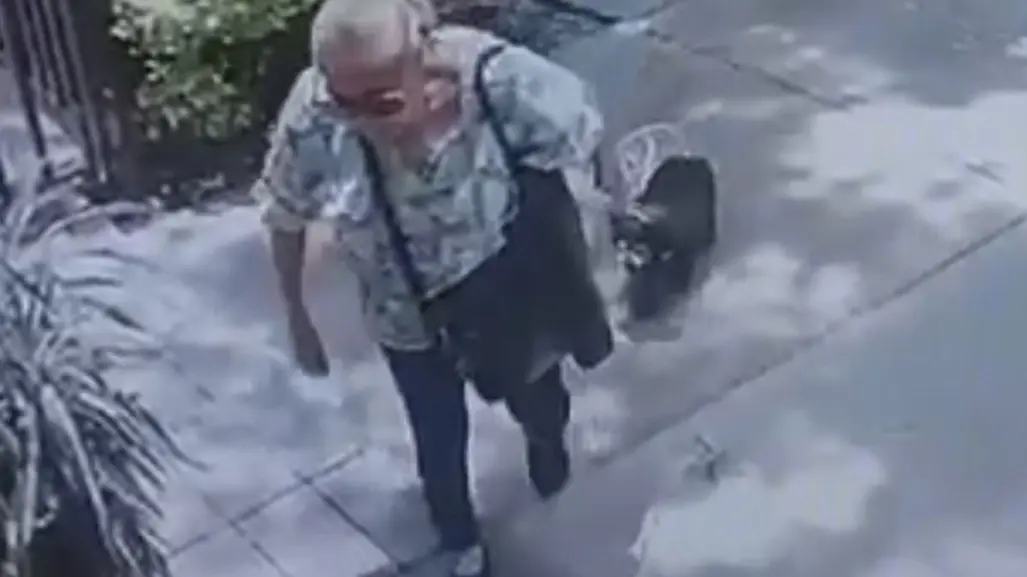 Mujer de 77 años es procesada por matar a perrita en Coyoacán; juez rechaza trato especial por edad