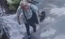 Mujer de 77 años es procesada por matar a perrita en Coyoacán; juez rechaza trato especial por edad