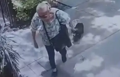 Mujer de 77 años es procesada por matar a perrita en Coyoacán; juez rechaza trato especial por edad