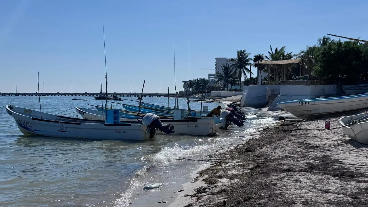 ¿Cuáles son las zonas afectadas por la veda por marea roja?. Foto: Alejandra Vargas