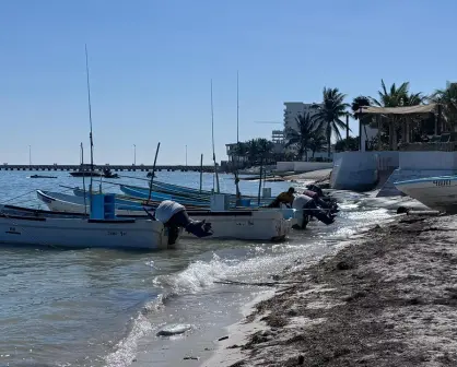 3 mil pescadores afectados por la veda de marea roja en Yucatán