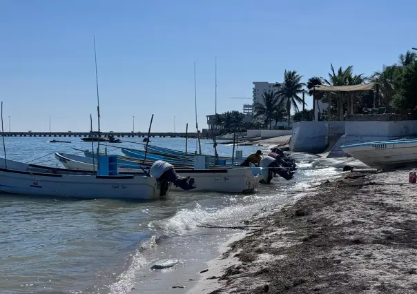 3 mil pescadores afectados por la veda de marea roja en Yucatán