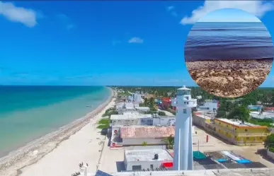 Marea Roja en Yucatán: 3 playas limpias cerca de Mérida