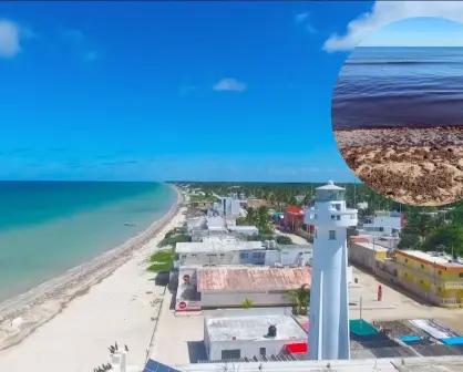 Marea Roja en Yucatán: 3 playas limpias cerca de Mérida