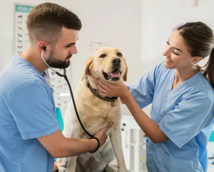 Esta es la única universidad de Durango que oferta la carrera de veterinario