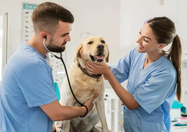 Esta es la única universidad de Durango que oferta la carrera de veterinario