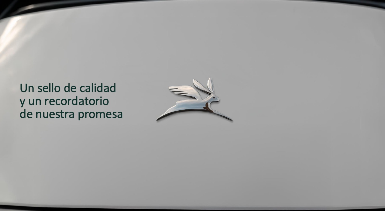 imagen-cuerpo imagen-cuerpo