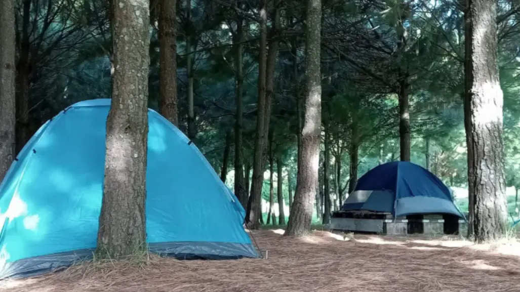 Acampar en Edomex es posible en este parque con cascada de más de 40 metros de altura
