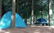 Acampar en Edomex es posible en este parque con cascada de más de 40 metros de altura