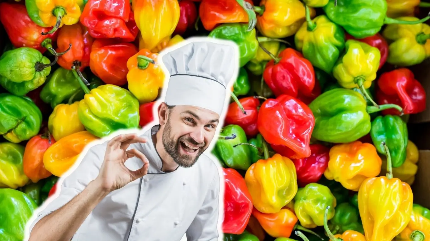 ¿Cómo se consume el habanero en la cocina yucateca?. Foto: Canva