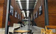 Cineteca Chapultepec abre con cine gratis toda la semana: conoce dónde está y su cartelera