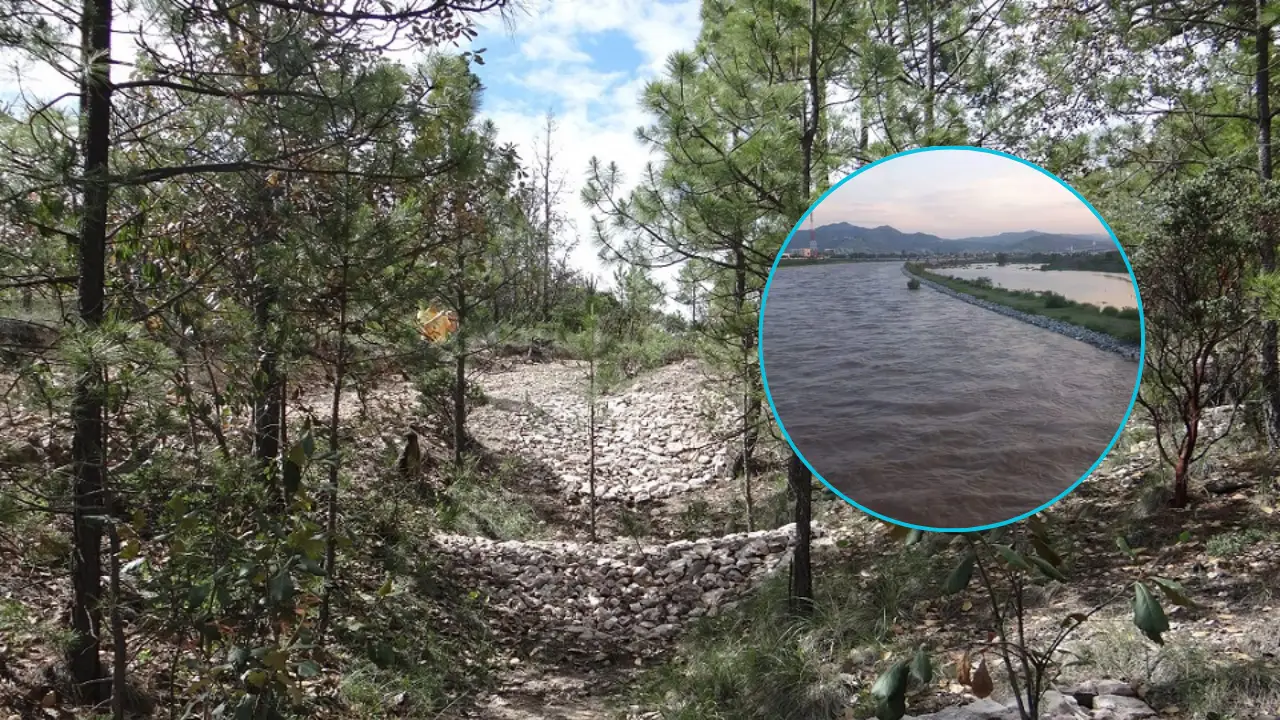 El río Nazas une al bosque y al semidesierto de Durango. Foto: Especial.