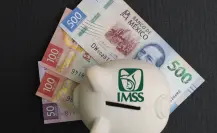 IMSS: ¿Cómo sabes cuánto recibirás de pensión bajo el régimen Ley 73?