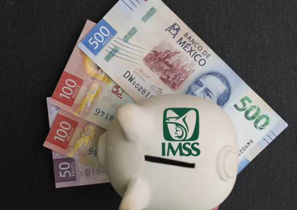 IMSS: ¿Cómo sabes cuánto recibirás de pensión bajo el régimen Ley 73?