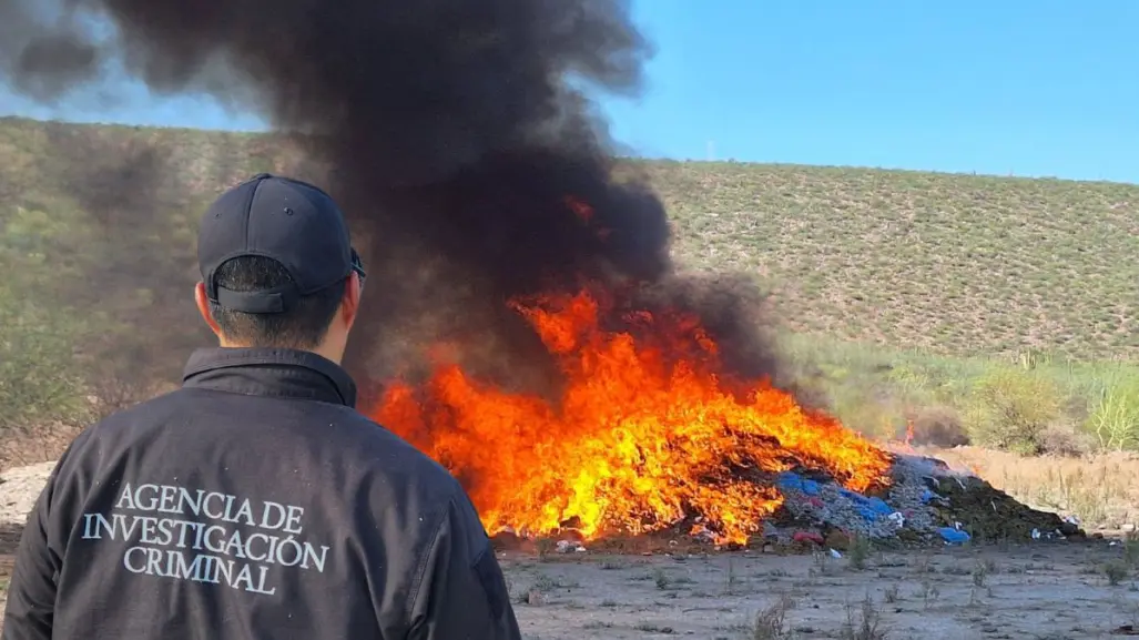 Incineran más de 3 toneladas toneladas de drogas en BCS