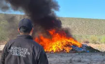 Incineran más de 3 toneladas toneladas de drogas en BCS