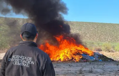 Incineran más de 3 toneladas toneladas de drogas en BCS