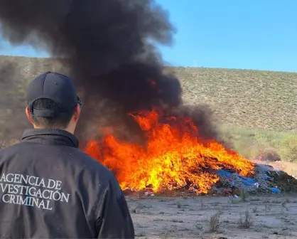 Incineran más de 3 toneladas toneladas de drogas en BCS