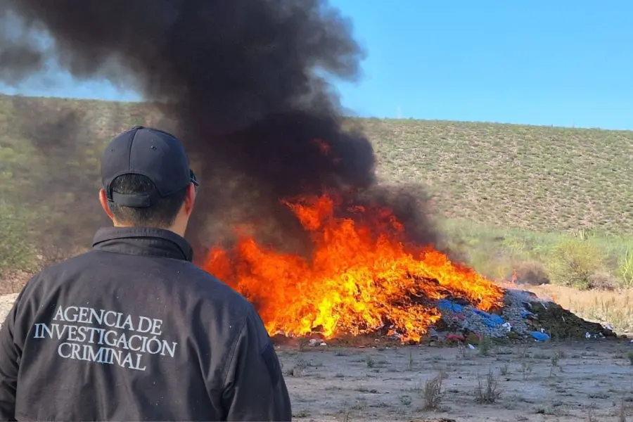 Incineran más de 3 toneladas toneladas de drogas en BCS