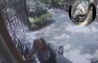 La Mataperros de Coyoacán: ¿Cómo era su modus operandi?