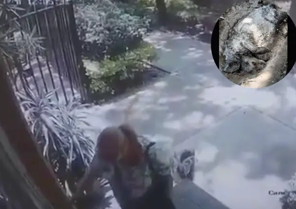 La Mataperros de Coyoacán: ¿Cómo era su modus operandi?