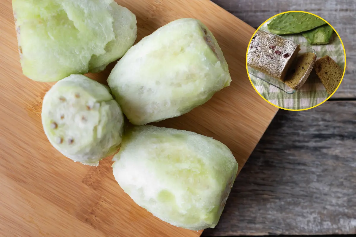 Históricamente, comunidades originarias han utilizado la tuna durante miles de años para la alimentación, el tratamiento de heridas y el fortalecimiento del sistema digestivo./Foto: Canva/ Alicia entre especias y recetas