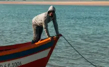 Pesca ilegal en Yucatán: reforzarán la vigilancia en Dzilam de Bravo