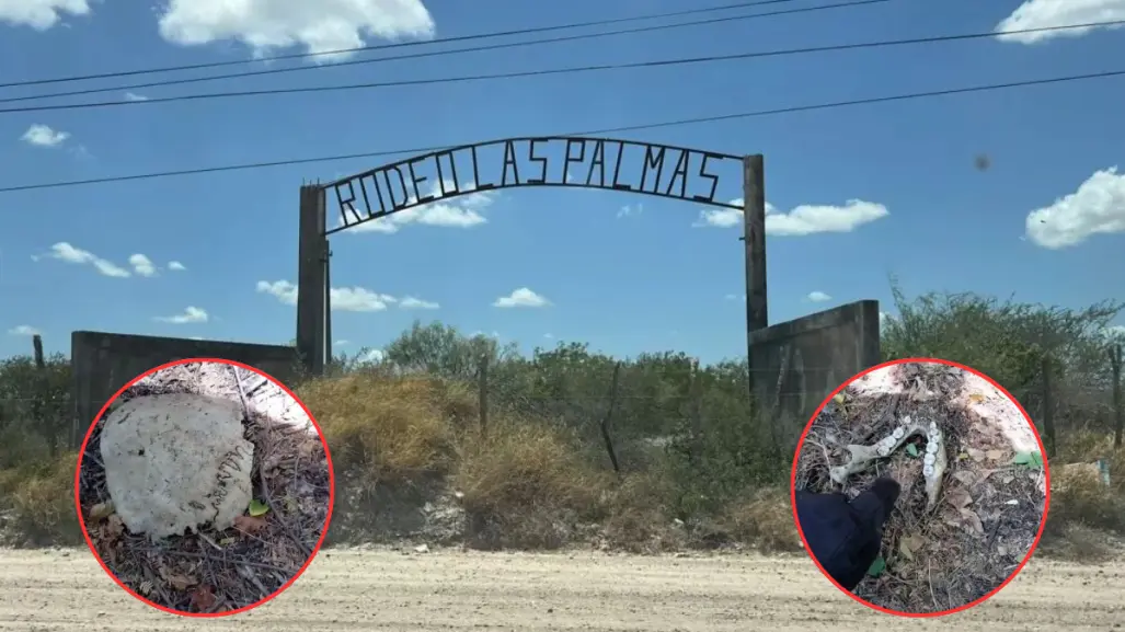 Localizan restos humanos y prendas en zona de difícil acceso en Tamaulipas