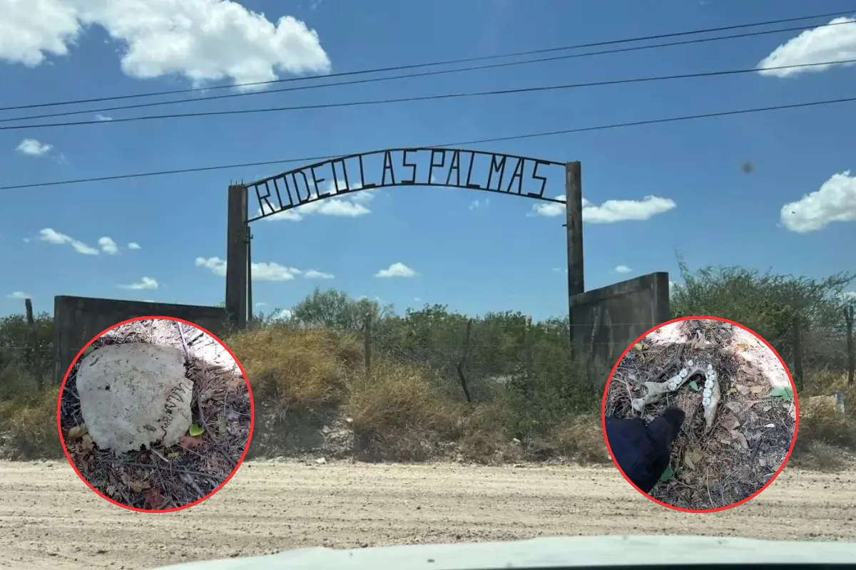 El terreno donde se llevó a cabo el hallazgo se ubica a espaldas del rancho Las Palmas. Foto: Carlos García