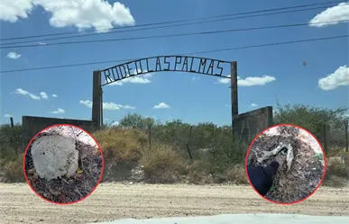 Localizan restos humanos y prendas en zona de difícil acceso en Tamaulipas