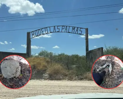 Localizan restos humanos y prendas en zona de difícil acceso en Tamaulipas