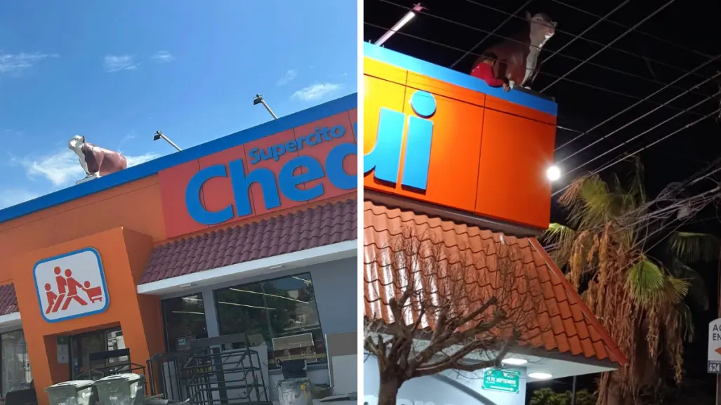 Vaquitas del "Arámburo" llegan a Chedraui y dividen opiniones en paceños