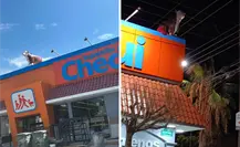 Vaquitas del “Arámburo” llegan a Chedraui y dividen opiniones en paceños