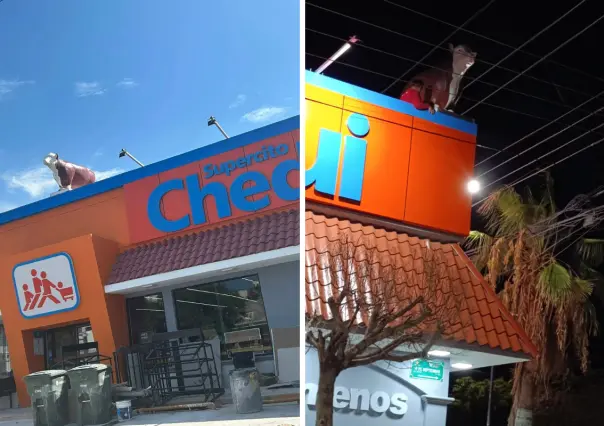 Vaquitas del "Arámburo" llegan a Chedraui y dividen opiniones en paceños