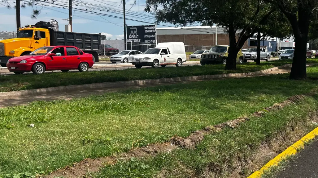 FOTOS | Jardineras de Durango se recuperan tras ser víctimas de ecocidio