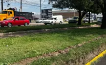 FOTOS | Jardineras de Durango se recuperan tras ser víctimas de ecocidio