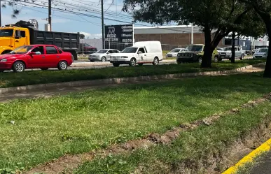 FOTOS | Jardineras de Durango se recuperan tras ser víctimas de ecocidio