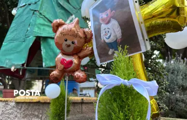 Caso Fernandito: vecinos siembran árbol en memoria del niño asesinado en La Paz, Edomex