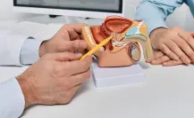 Esta enfermedad puede ser mortal y 19 hombres de Durango ya fueron diagnosticados en 2025