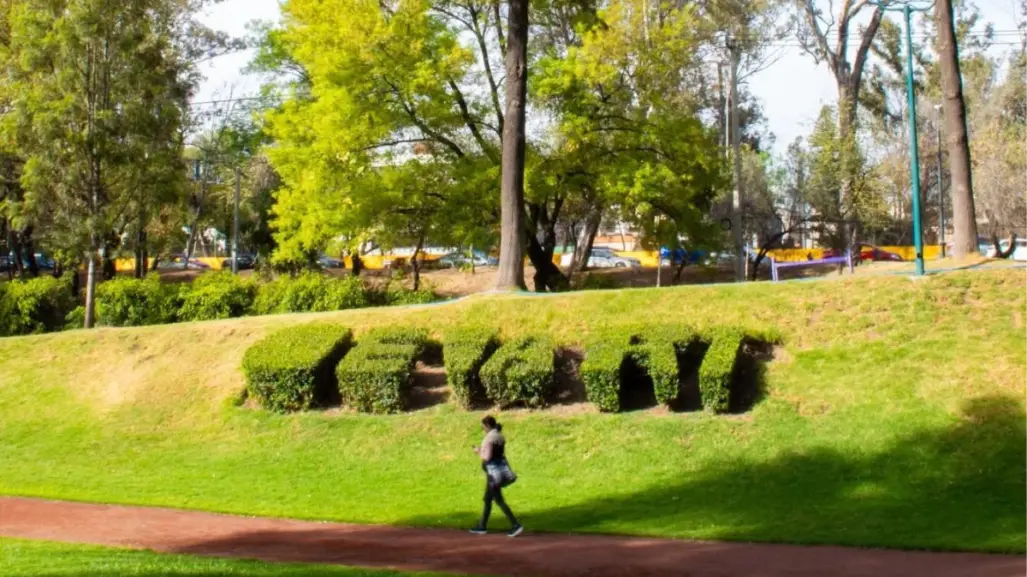 Descubre el rincón tranquilo de CDMX donde arte y naturaleza se encuentran