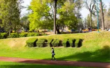 Descubre el rincón tranquilo de CDMX donde arte y naturaleza se encuentran
