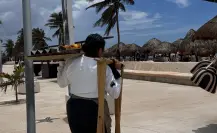Encuesta revela que el 30% de comercios en Yucatán tiene afectaciones por marea roja