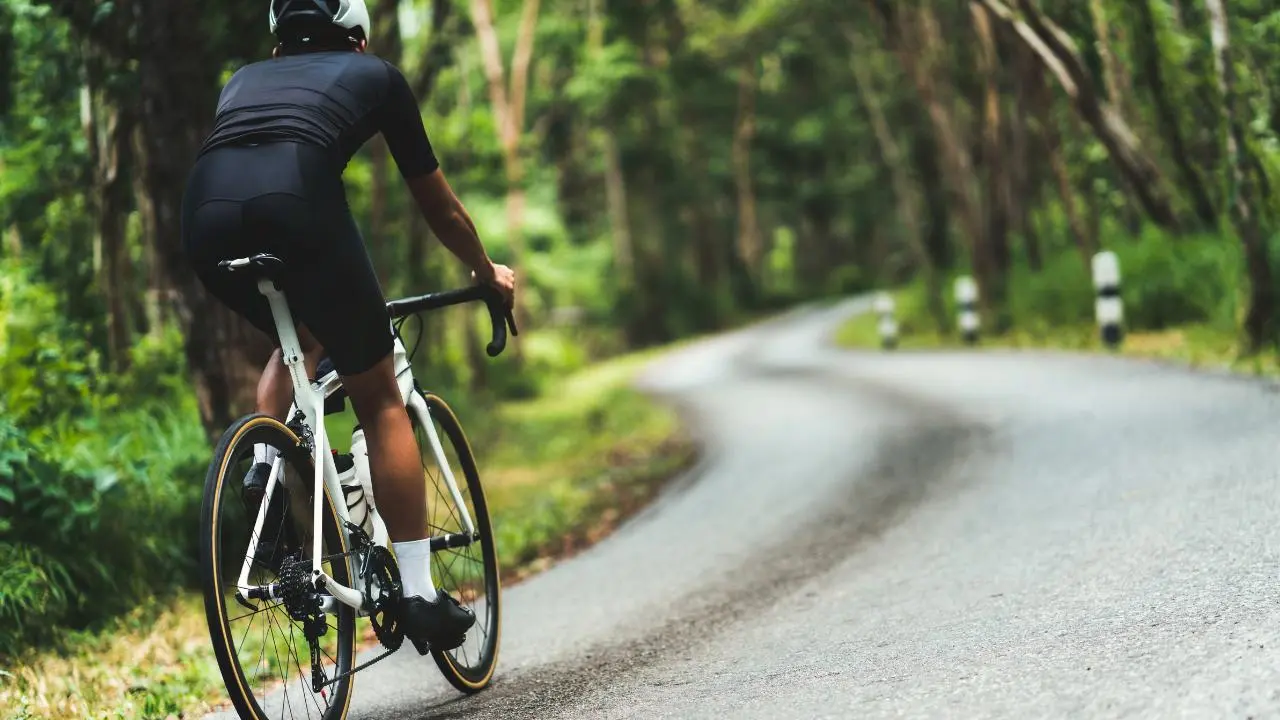 Descubre este parque en Edomex perfecto para recorrer en bicicleta rodeado de árboles. Foto: Canva / mxc.com.mx