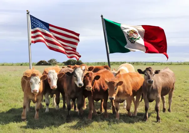 Coahuila prepara estrategia para rescatar al sector ganadero tras freno en ventas a Estados Unidos