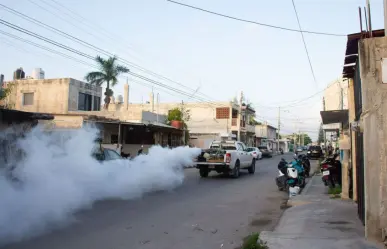 Seyé comienza con jornadas de fumigación para combatir enfermedades transmitidas por vector