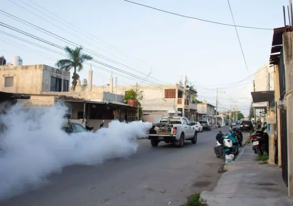 Seyé comienza con jornadas de fumigación para combatir enfermedades transmitidas por vector