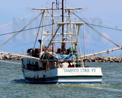 Esta es la famosa "Isla del Encanto": Identidad, tradición y motor camaronero de Tampico