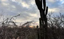 La ciencia detrás del calor que se siente en BCS antes de que llueva